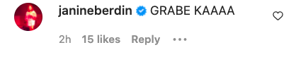 Janine Berdin Comment